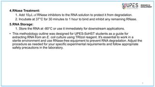 doees autoclaves kill rnases|how to prevent rnase in lab.